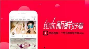 娱乐吃瓜视频剪映素材,娱乐吃瓜视频背后的精彩瞬间